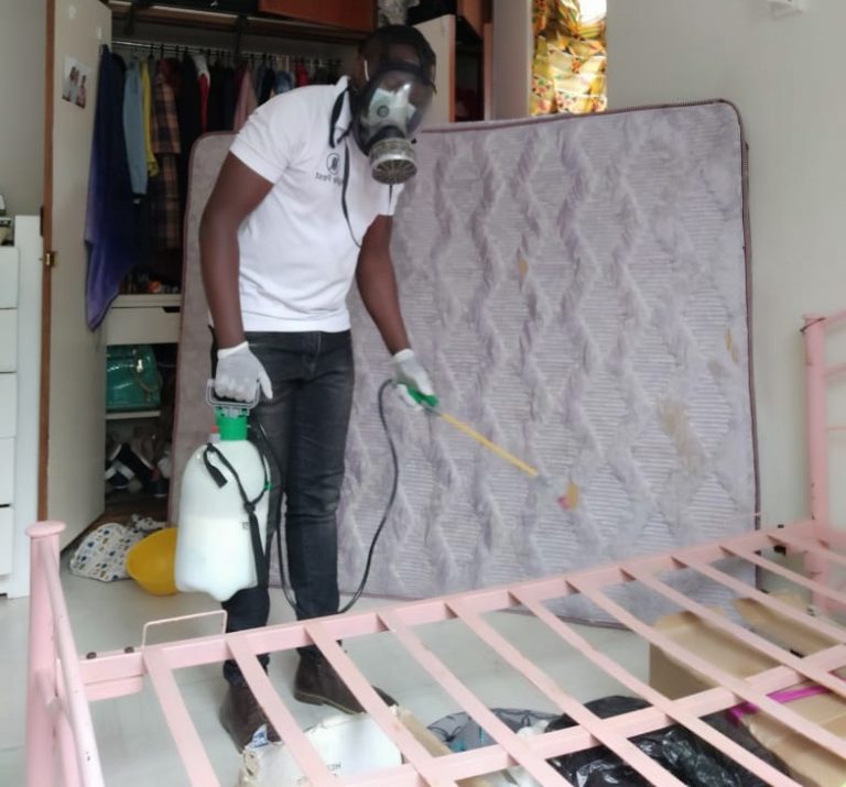 Fumigation & Pest Control Services in Kenya Fumigation Services Nairobi
