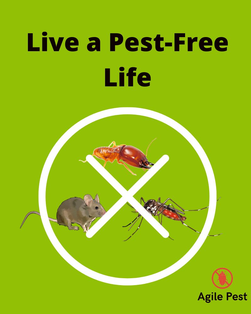 pest-free living